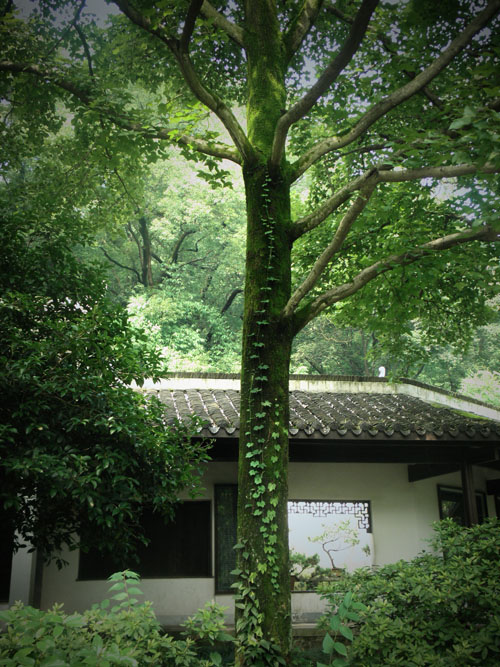 Сад академии ЮэЛу, Хунаньский университет